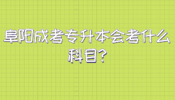 阜陽成考專升本會考什么科目